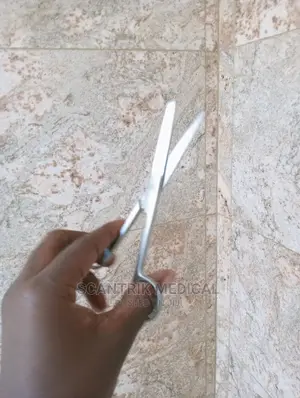 Straight Surgical Scissors