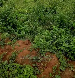 A Plot With a Demolishable Structure Inside Karole Estate