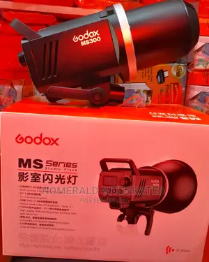 Godox Ms300