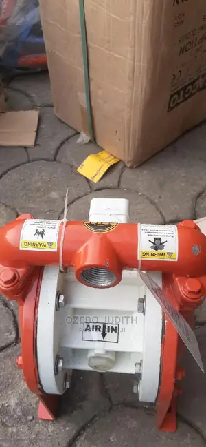 Pnuematic Wilden Diaphragm Pump 1"