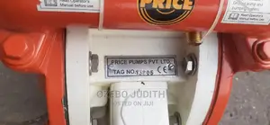 Pnuematic Wilden Diaphragm Pump 1"