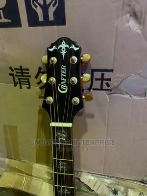 Quality Crafter DX 10 SR Premium Acoustic Guitar