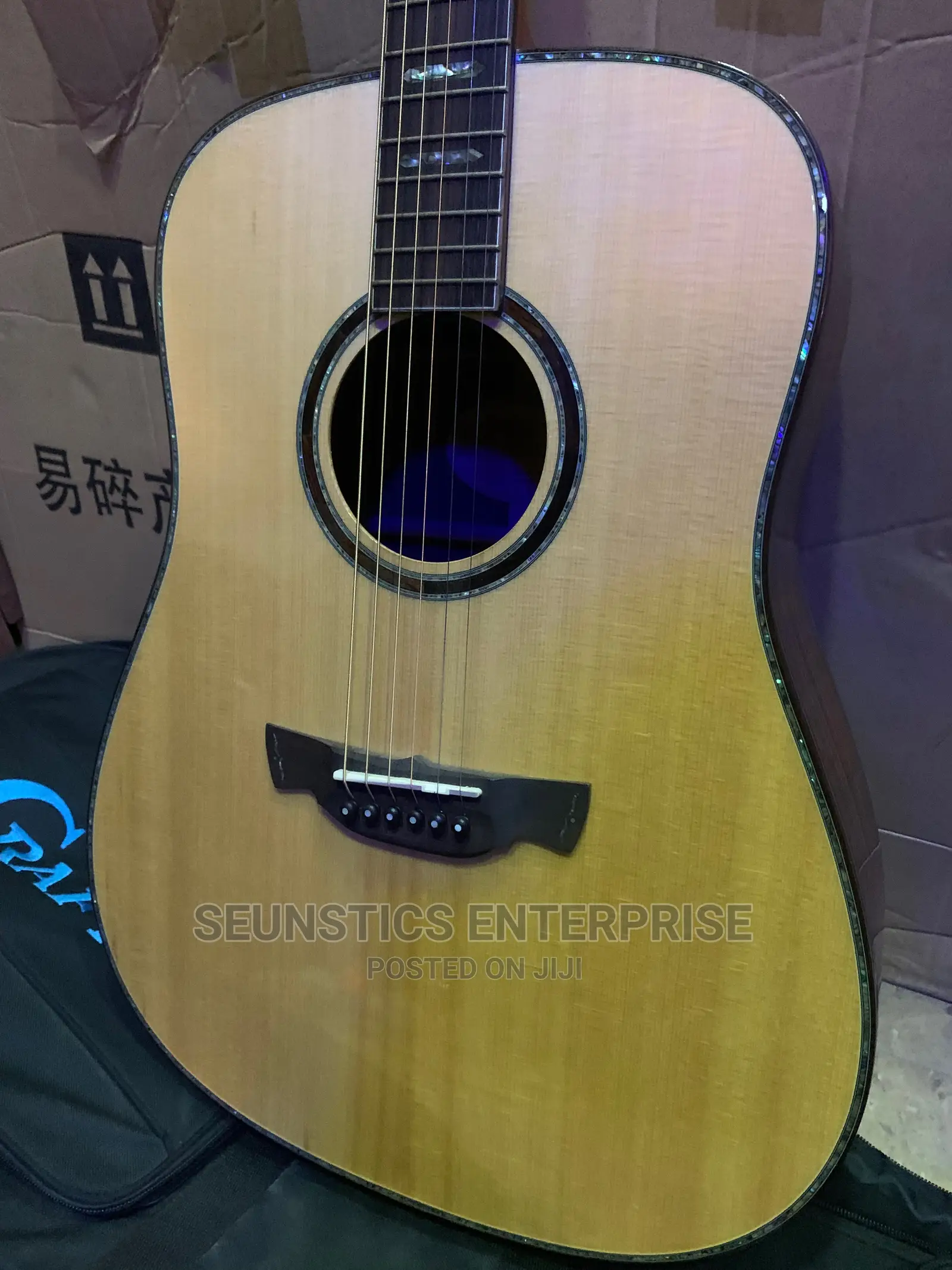 Quality Crafter DX 10 SR Premium Acoustic Guitar