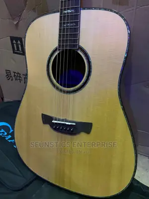 Quality Crafter DX 10 SR Premium Acoustic Guitar