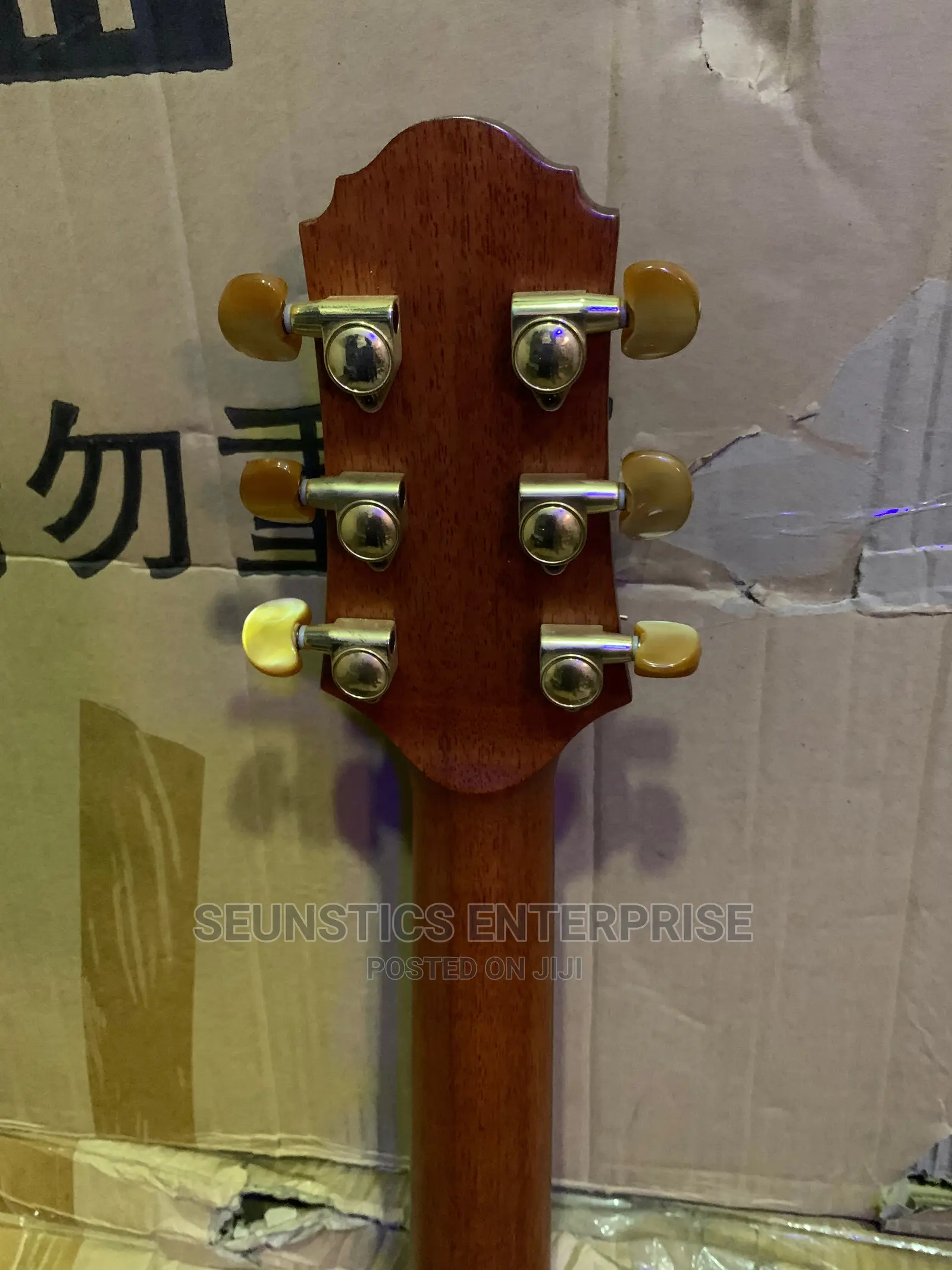 Quality Crafter DX 10 SR Premium Acoustic Guitar