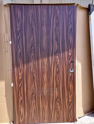 Standard Israeli Security Door