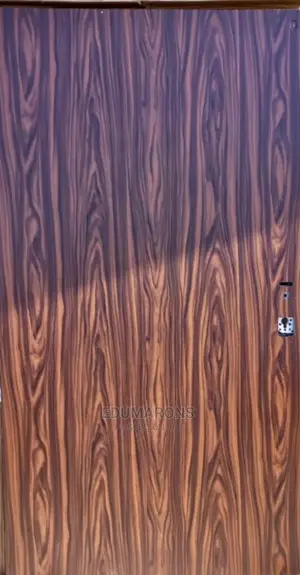 Standard Israeli Security Door