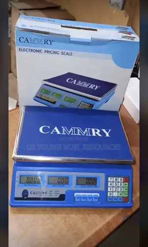 30kg Measuring Scale