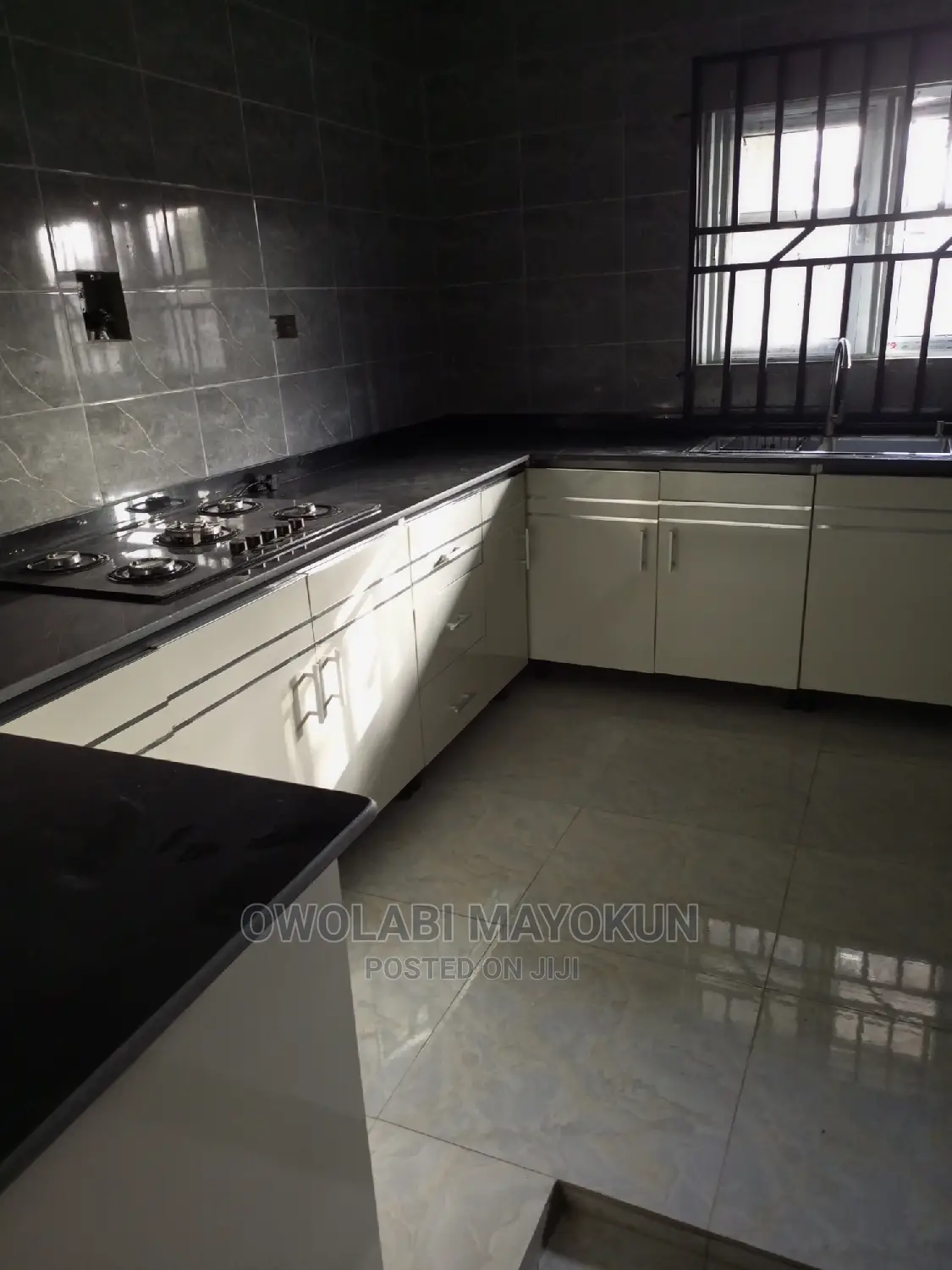 Professional Cleaning Service