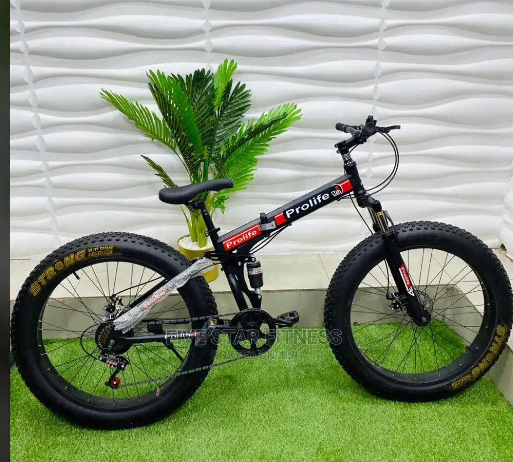 Profile Foldable Fat Tyre Bike
