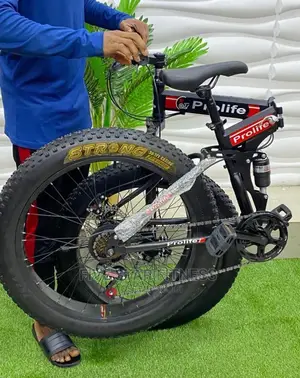 Profile Foldable Fat Tyre Bike