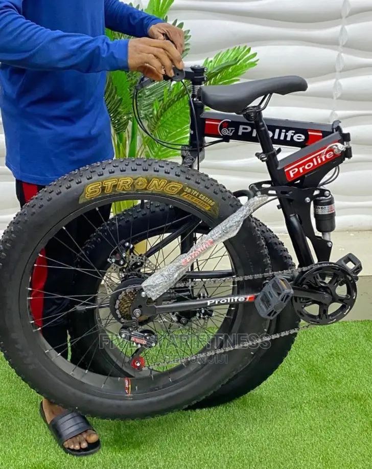 Profile Foldable Fat Tyre Bike