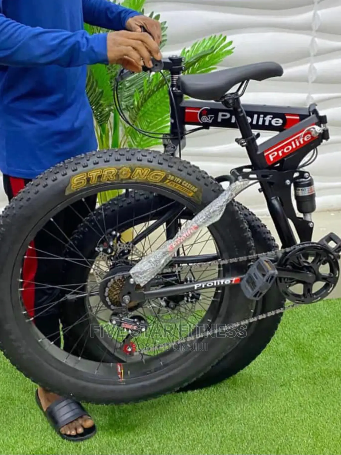 Foldable Fat Tyre Bike