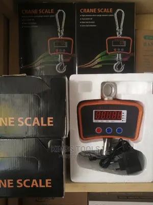 500kg Crane Scale