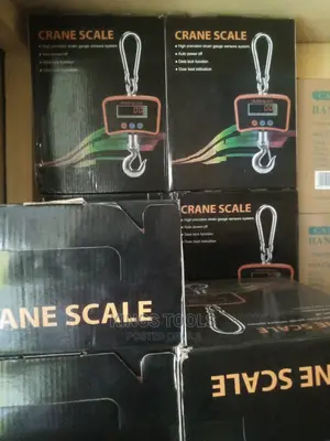 500kg Crane Scale