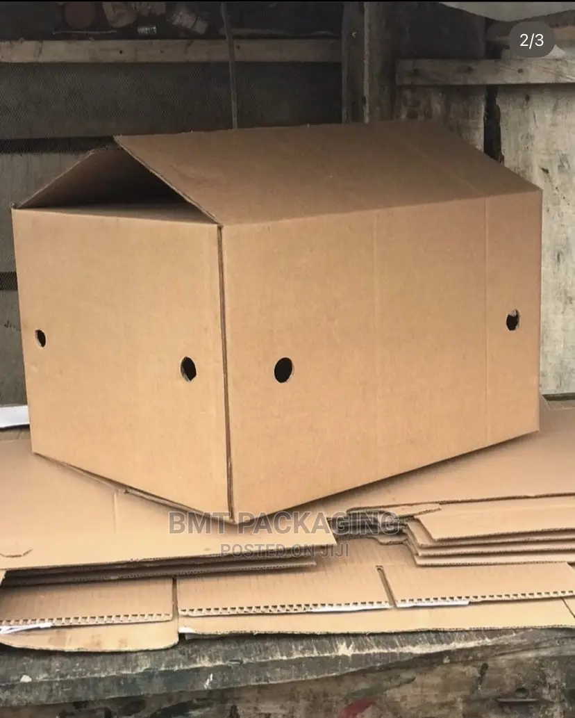 Study Carton Box