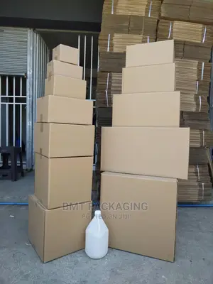 Study Carton Box