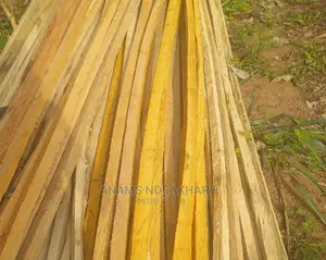 Anams Nosakhare Quality and Affordable Roofing Woods