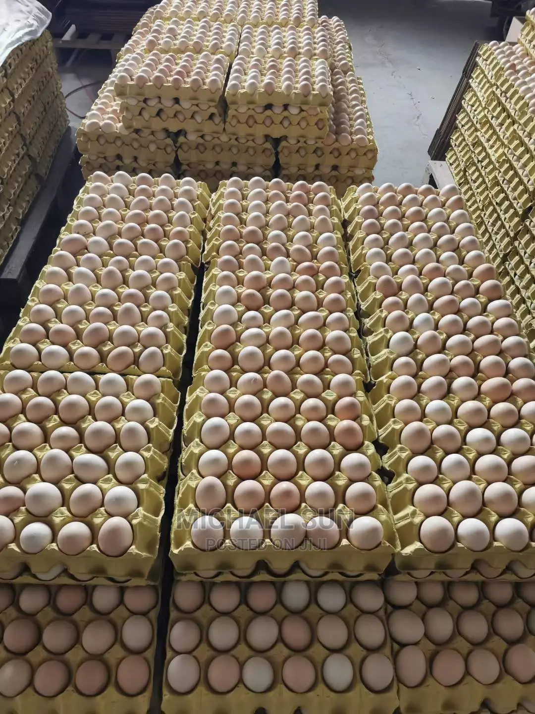 Imported Layer Battery Cage