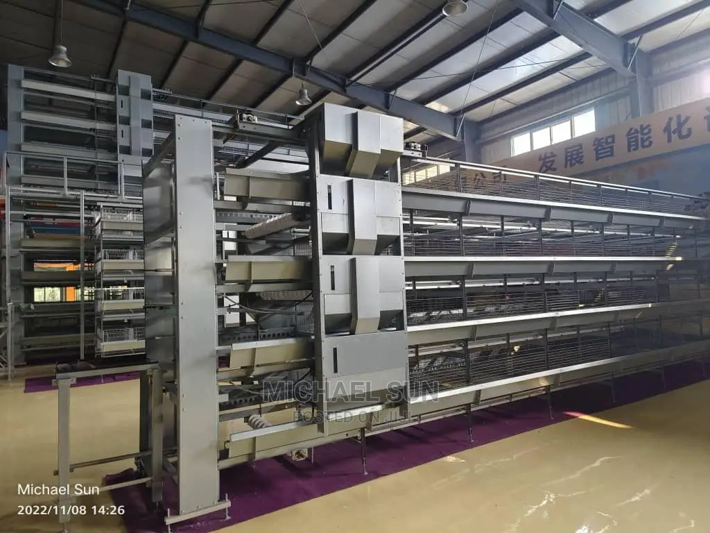 Automatic Chicken Cage