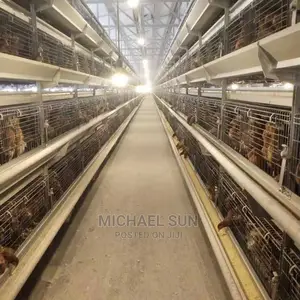 Automatic Chicken Cage