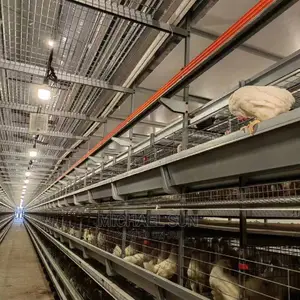 Automatic Chicken Cage