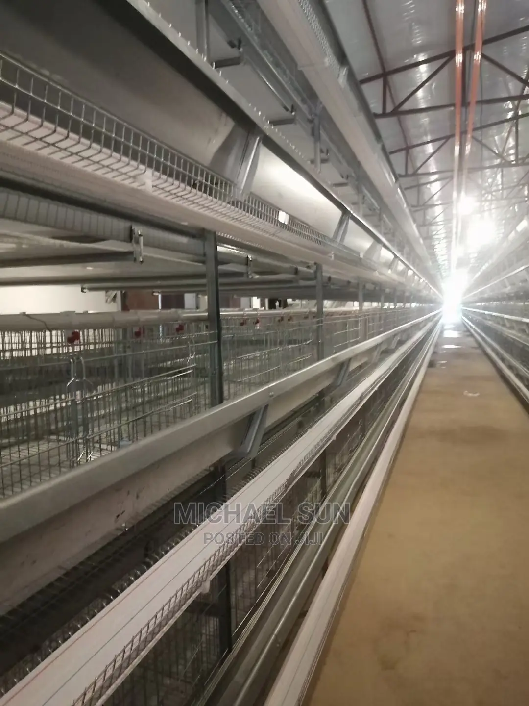 Automatic Chicken Cage