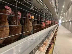 Poultry Battery Cage