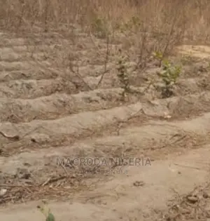1000 SQM Land for Sale at Lekki