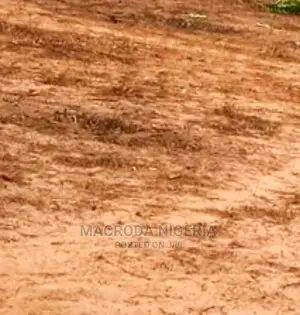 2968.01 Sqm Land for Sale at Lekki Phase 1