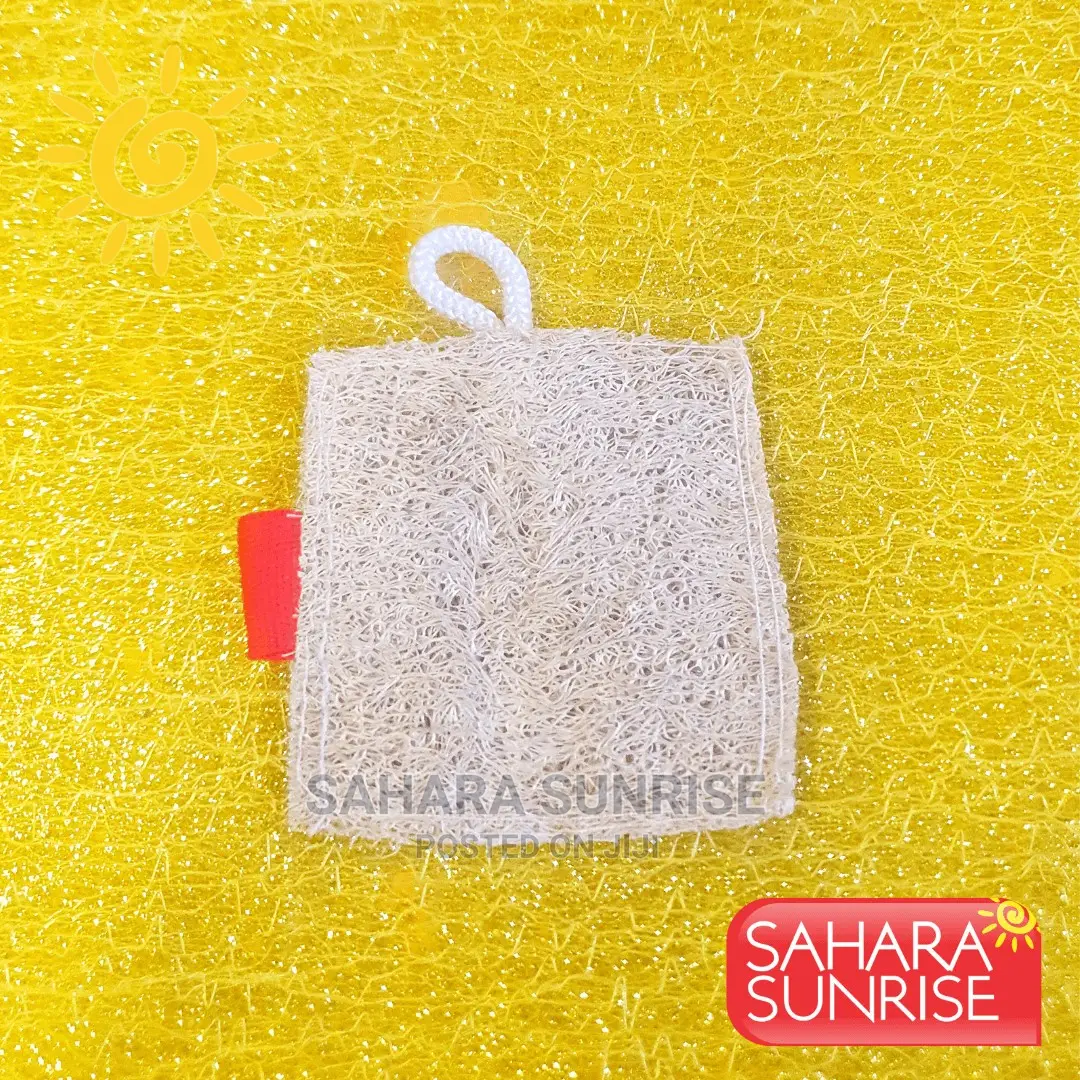 Natural Loofa Facial Sponge