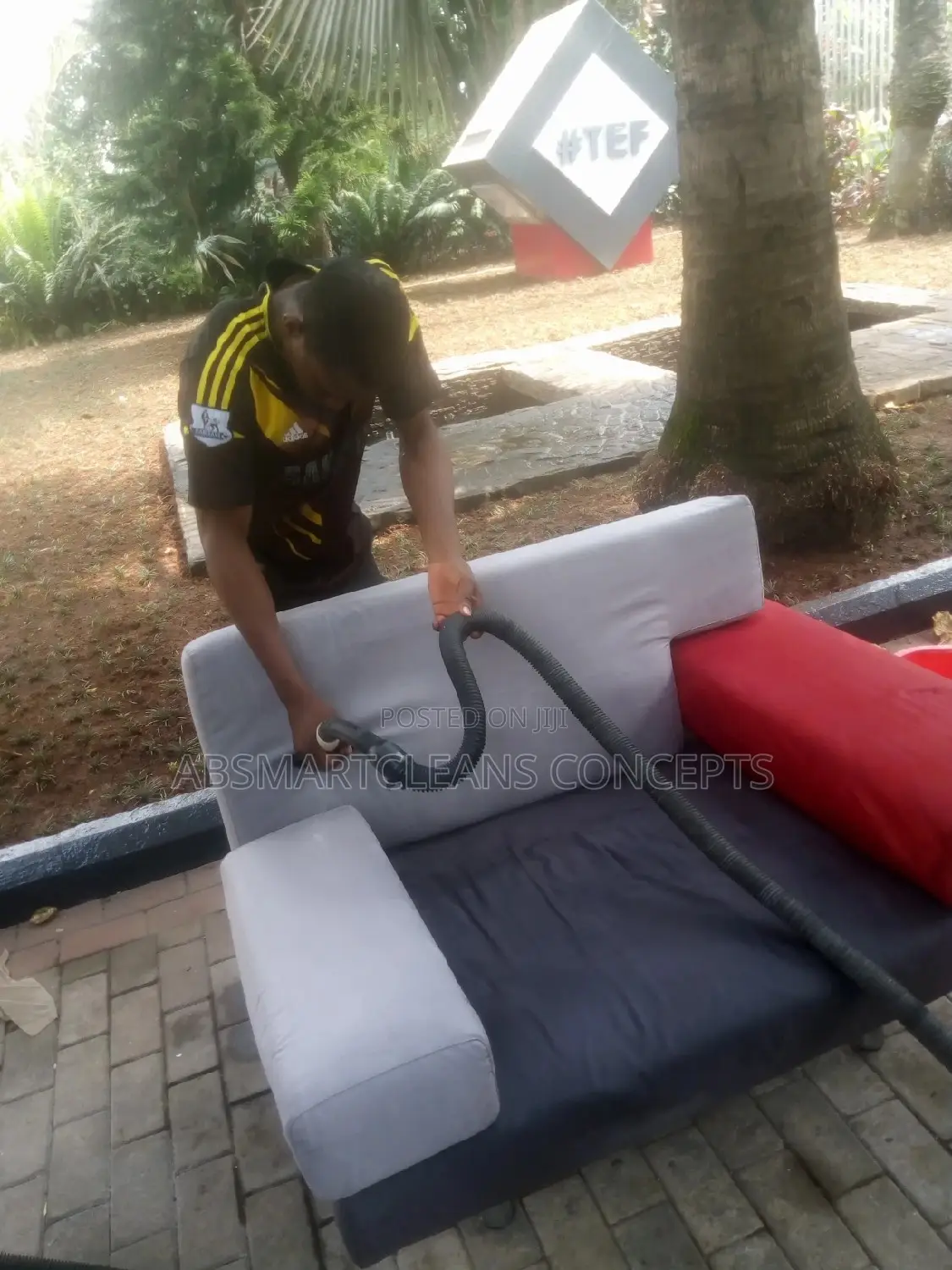 Sofa Cleaner