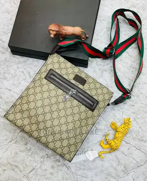 Gucci Cross Bag (Multi Function)