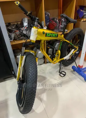 Commercial Big Tyre Bicycle