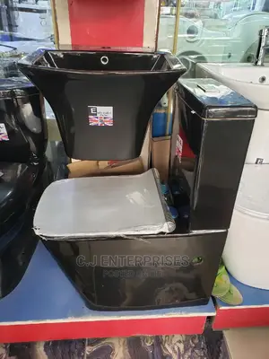 Black Wc With Wall Hung Basin
