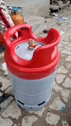 Stainless Gas Cylinder 12.5kg for Home's/ Restaurants