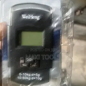 Portable Electric Scale