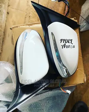 Mercedes-benz C300 W205 2017 Side Mirror