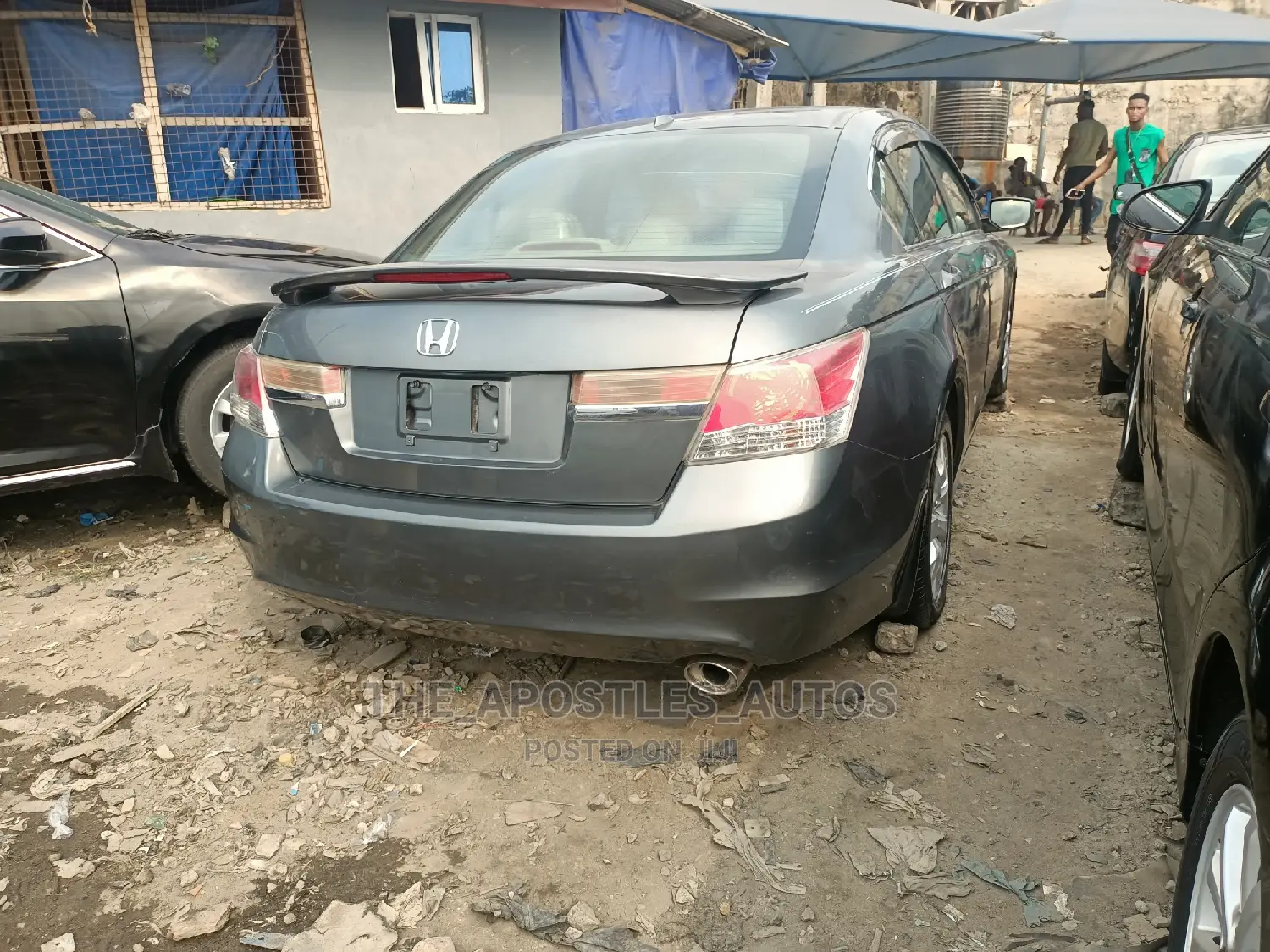 Honda Accord 2010 Gray