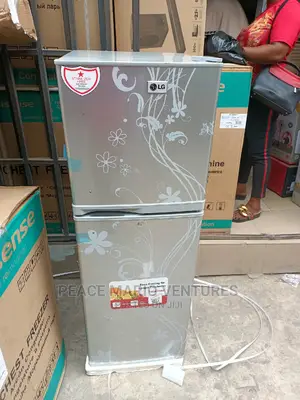Lg Standing Refrigerator Double Door 135l With 2years Warnty