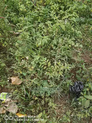 Land for Sale at Affordable Prices in Ikorodu