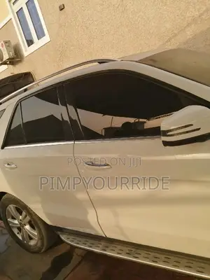 Tint And Pimp Ride