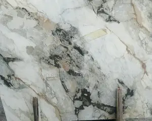 60 X 60 Polish Floor Tiles