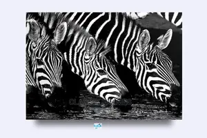 Photo - HD Framed Zebra Wall Art Picture Painting