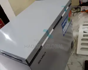 Skyrun Chest Freezer BD 200 Siver Color
