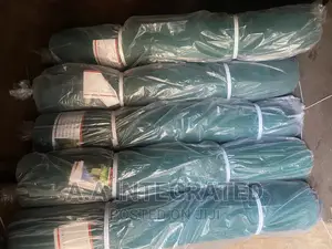 High Quality Scaffolding Net