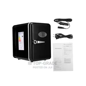 4l Capacity Mini Auto Cooler Warmer Dual-Use Car Fridge