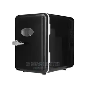 Portable 4l Mini Car Refrigerator