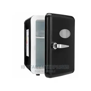 Free Delivery Car Refrigerator