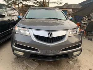Acura MDX 2010 Gray